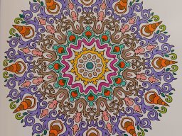 whatsapp bild 2024-07-22 um 19.22.11_702d2614